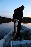 Fisherman with a pike